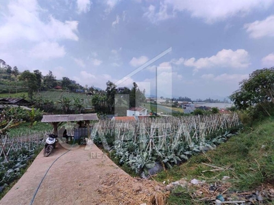 Tanah Cikole Lembang For Sale Cocok untuk Rumah Kebun Akses 1 Mobil