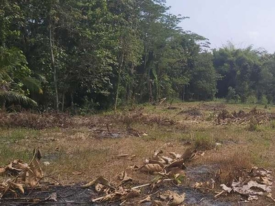 Tanah Istimewa Utara POLRES Kulon Progo,Tanah Siap Bangun Jogja,SHM