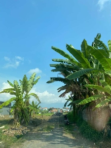 Tanah kapling view sawah dekat canggu