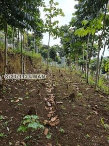 Jual Tanah Strategis,jl Kol.masturi View Gunung Tangkuban Perahu