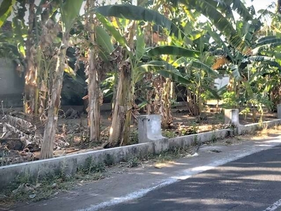 Tanah Mangku Aspal Dekat RSUD Prambanan,Tanah Jogja Timur Siap AJB
