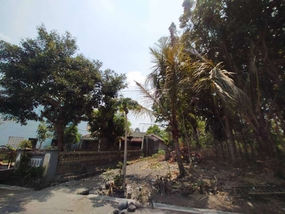 Tanah Murah di Tirtomartani Sleman Dekat Candi Sambisari