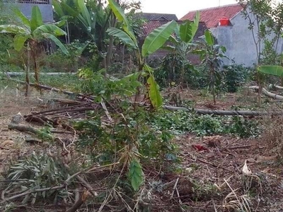 Tanah Murah Kavling Hunian Dekat BSB City Mijen Semarang