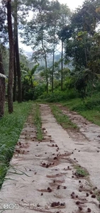 Tanah Murah Untuk Cafe Rumah Kebun Singgah di Kota Batu