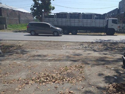 Tanah Sewa Murah Mranggen Raya Semarang Timur Cocok utk Gudang/Pabrik