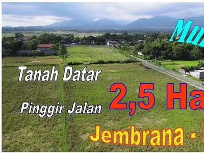 24.490 m2 Lahan Siap Bangun Pinggir Jalan Aspal di Jembrana