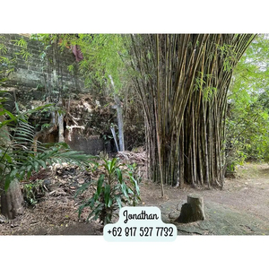 For Sale: Prime Land in Kerobokan, just 8 minutes to Canggu