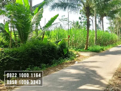 Invest Tanah Sawah di dekat Wisata Sumber Jenon Tajinan