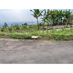 Jual Tanah Murah Luas 1000m2 View Perbukitan Dekat Jumog Kemuning - Karanganyar Jawa Tengah