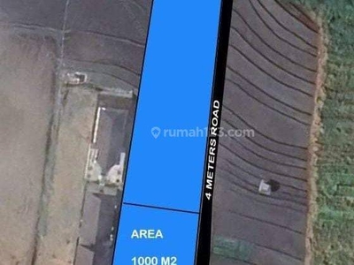 Land 1000 Sqm For Leasehold At Canggu