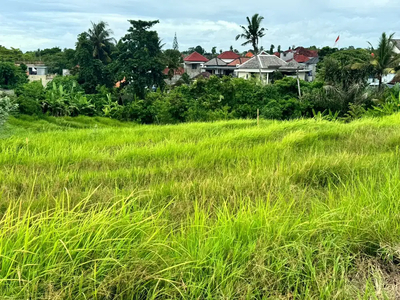 Miliki Investasi tanah view persawahan di munggu Badung - Bali.