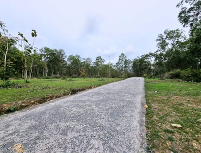 Siap Bangun di Kulon progo Jogja, Jual Tanah Murah SHM Siap Akad