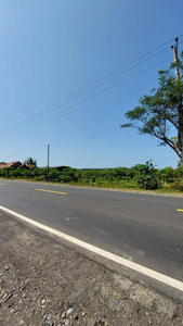 Tanah 1,1 Hektar Barat Bandara NYIA, Murah Strategis,Purworejo Selatan