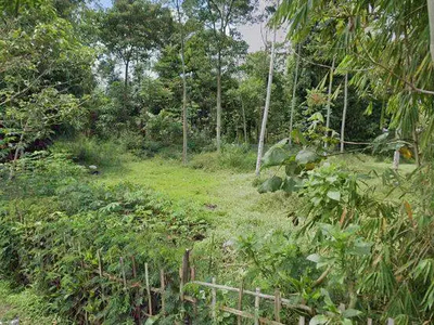 Tanah 7000 meter cocok untuk Villa, Camping, di Ciwidey Pasir jambu
