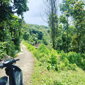 Tanah kemuning karanganyar termurah di sekitarnya