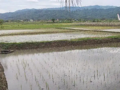 Tanah Produktif (Sawah)