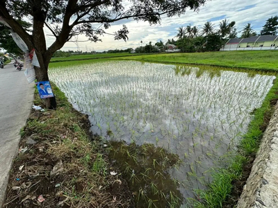 Tanah Rajeg Tangerang Cocok Untuk Investasi Luas 3190m