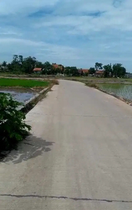 Tanah Sawah Pinggir Jalan Di Teluk Jambe Karawang Timur Dijual Murah