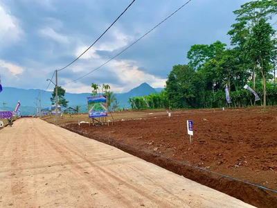 Tanah SHM Di Pinggir Jalan Alternatif Puncak 2 Bogor