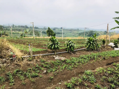 Tanah SHM On Hand, Area Wisata Baloga Kota Batu LM14