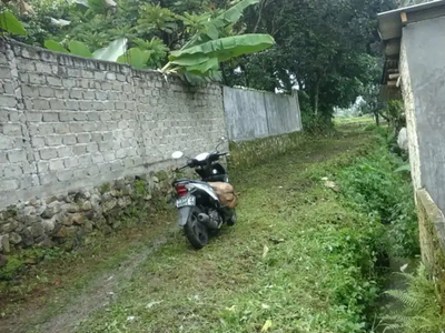 Tanah subur cocok buat pertanian atau untuk villa