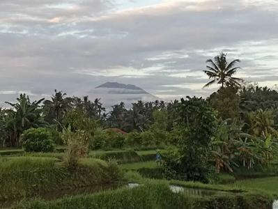Tanah Ubud Selatan View Gunung dan Sawah