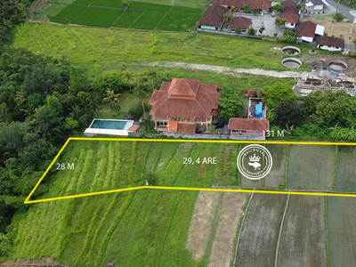 Tanah untuk disewakan view sawah dan los sungai bebatuan dekat canggu