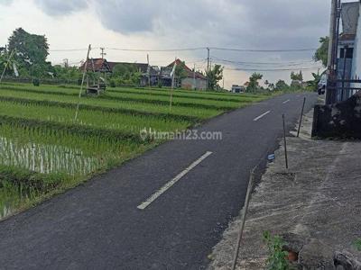 TANAH PADONAN CANGGU BALI