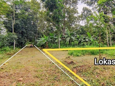 Tanah MURAH di Pakintelan Gunungpati Semarang