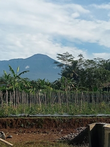 Tanah Purwokerto Nuansa Alam Terlaris Banyak Bonus