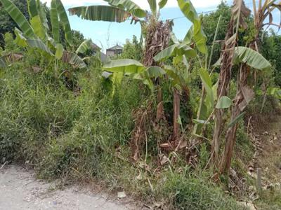 Tanah Kaving Siap Bangun di Sidoarjo