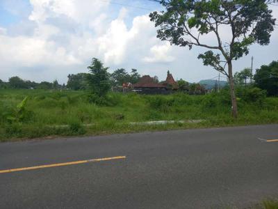 Tanah pinggir jln provinsi pakem-kalasan prambanan