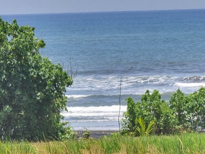 Absolute Beachfront Land For Lease