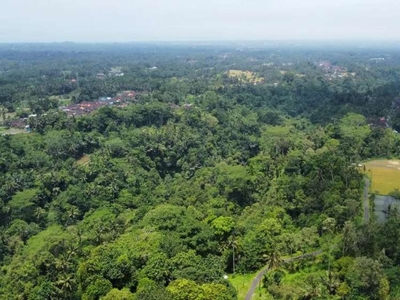 Disewa Tanah 12 Are Murah View Hutan Jungle dan Sungai di Ubud
