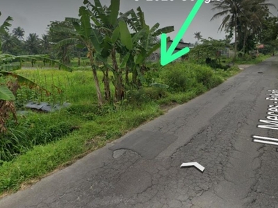 Disewakan Tanah Murah Jl.Meces - Pokoh Ngemplak Umbulmartani