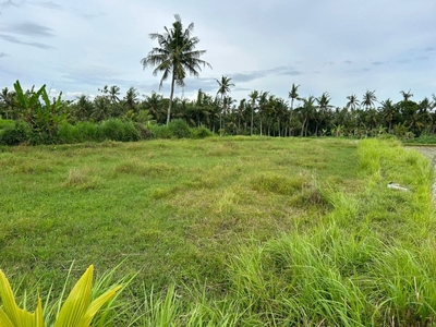 For Leasehold 20 year+20 yaer close to ubud