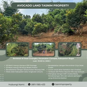 Jual Tanah Kebun View Gunung Salak di Bogor