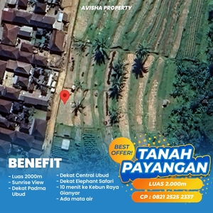 Jual Tanah Payangan Bali