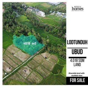 TANAH DI LODTUNDUH - UBUD