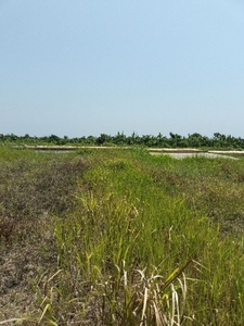 Tanah Di Sewa di Tumbakbayuh Canggu Bali