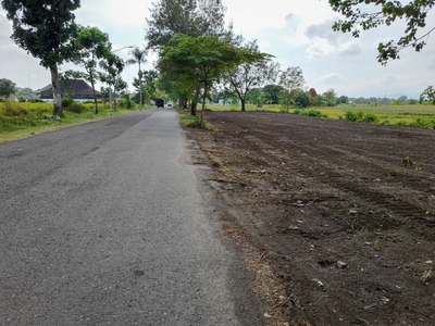 Tanah Kapling Dekat Candi Prambanan, Mangku Jalan Aspal