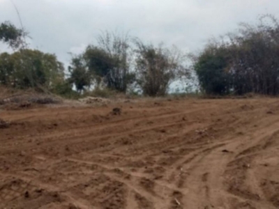 Tanah Murah Ngombol Purworejo Dekat Pantai Roro Inten