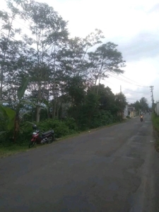 TANAH STRATEGIS 294M DAPAT 450M DI MARON TEMANGGUNG