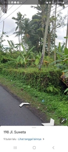 TANAH VIEW SAWAH AREA VILLA DI UBUD BALI