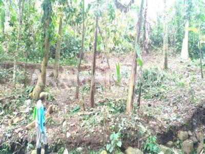 Jual Sawah Dan Kebun Luas Total 7150m2 Piling Mengesta Penebel Tabanan