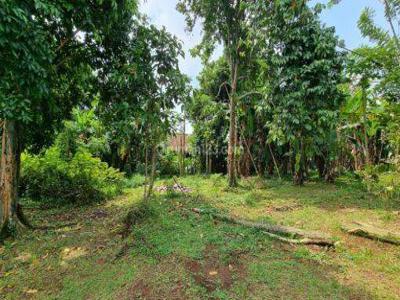 Tanah Dijual di Pinggir Jalan Raya Kalijati Dekat Pintu Tol