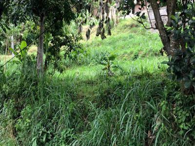 Tanah Luas Termurah di Cipulus , Cilengkrang Kbb