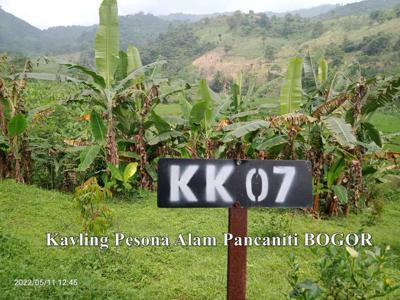 Tanah Kavling Luas 1000 Meter Perkebunan Pesona Alam Pancaniti Bogor