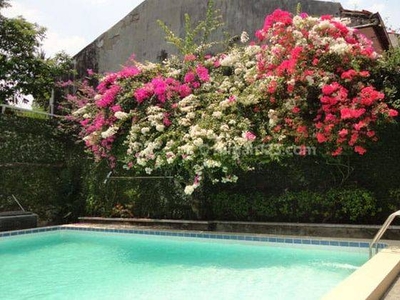 House For Rent At Kemang, Big Garden, Big Swimming Pool