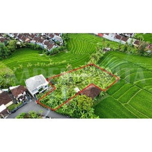 Dijual Tanah View Sawah Luas 11 Are di Jalan Tumbak Bayuh Pererenan - Badung